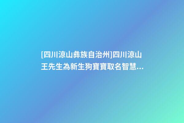 [四川涼山彝族自治州]四川涼山王先生為新生狗寶寶取名智慧型套餐-第1張-公司起名-玄機派